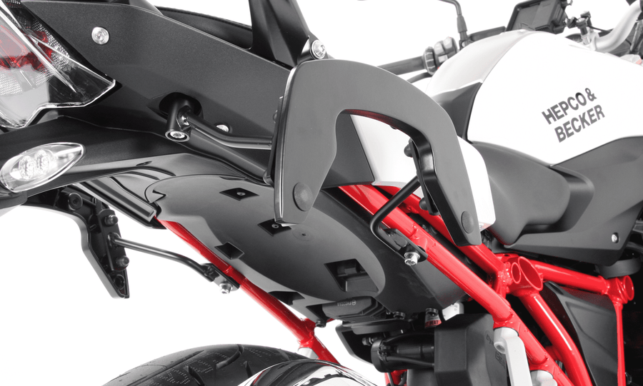 BMW R 1250 R [2019-2025] - C-Bow Seitenträger