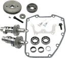 Harley-Davidson FLRT 1690 Freewheeler [2015] - MR103 Easy Start Nockenwellen-Kit – Bild 1