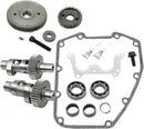 Harley-Davidson FXSTSSE 1800 Softail Springer Screamin Eagle [2007] - 583 Easy Start Nockenwellen-Kit – Bild 8