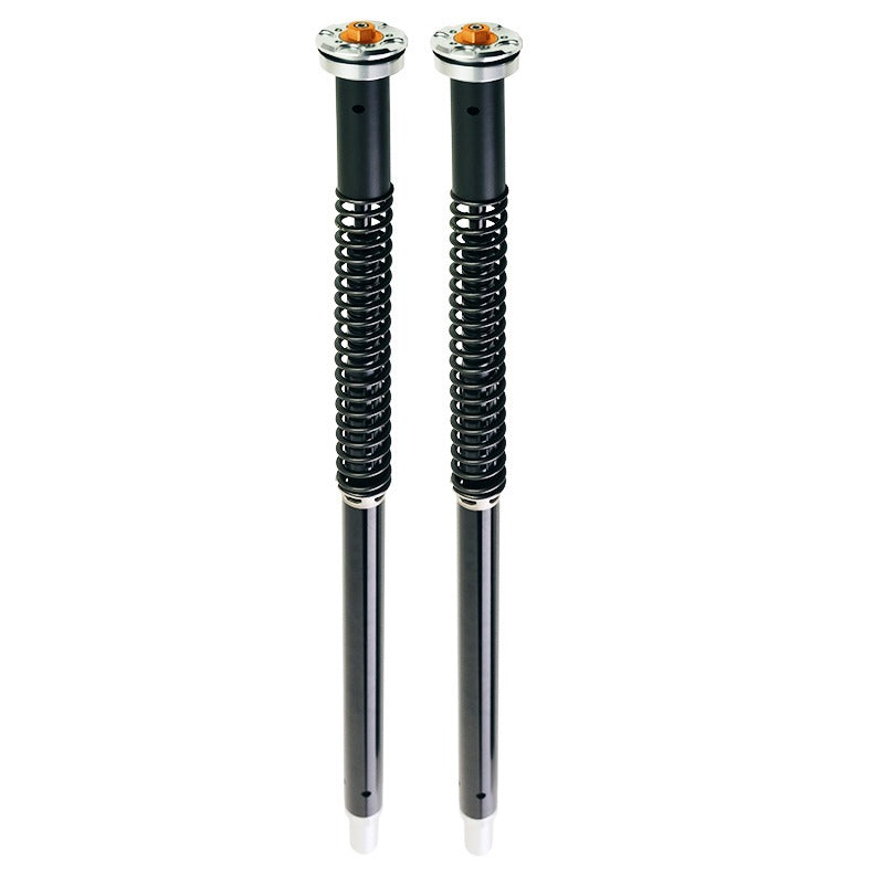 BMW R nineT 1200 Urban G/S (low exhaust) [2017-2023] - Plug and Play fork cartridges (high version)