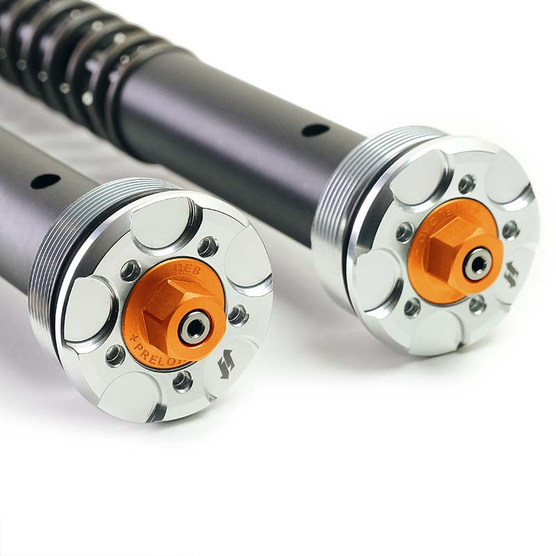 BMW R nineT 1200 Urban G/S (low exhaust) [2017-2023] - Plug and Play fork cartridges (high version)
