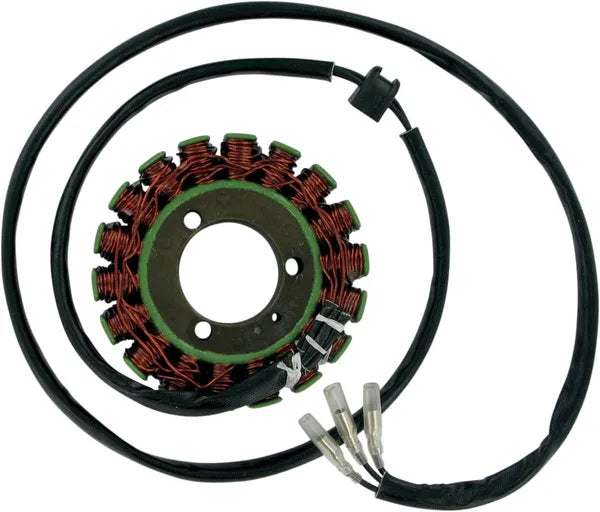 Suzuki GS 1100 [RICK'S MOTORSPORT ELECTRIC] – Stator für Suzuki