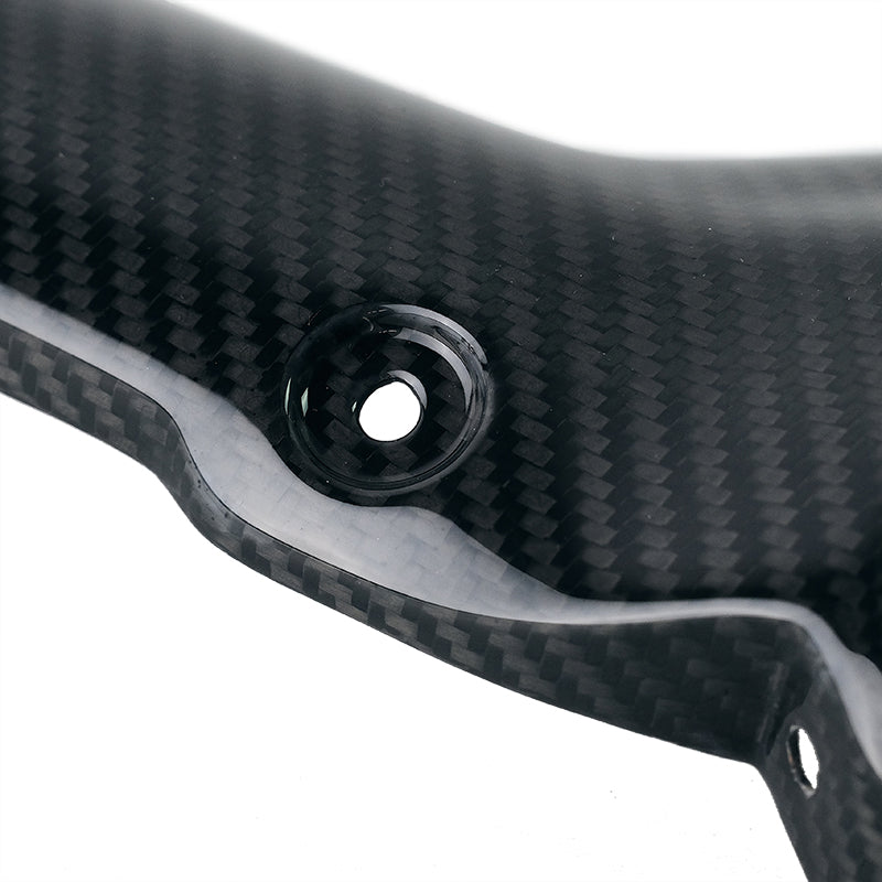 BMW R 1300 GS [2024–2026] - Carbon-Hitzeschildabdeckung für RAD-Schalldämpfer (Code 4009)