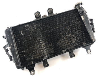 Triumph Tiger 1050 115NG [2016] - Water Cooler Radiator