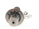 Triumph Daytona 955i T595N [2001] - balance shaft-4