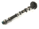 Triumph Thunderbird 900 T309RT [1996] - Camshaft Exhaust Camshaft-1