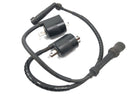 Yamaha XVS 650 Drag Star VM03 [2001] - ignition coil ignition module ignition cable set set couple-2