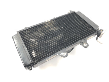 KTM RC 125 [2016] - Radiator water cooler cooling system radiator with fan - 0