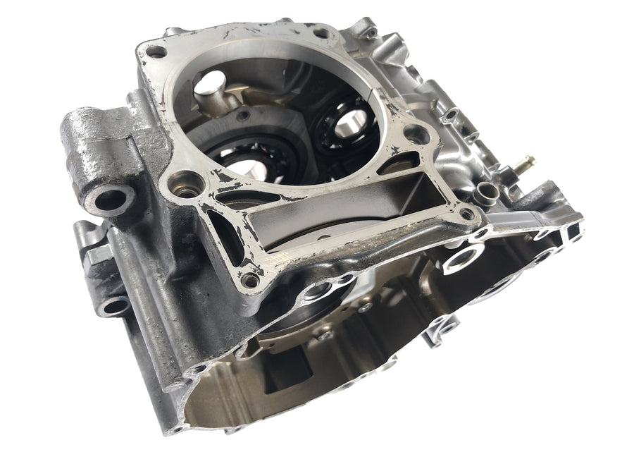 Yamaha XT 660 DM01 [2004] - motor housing empty housing