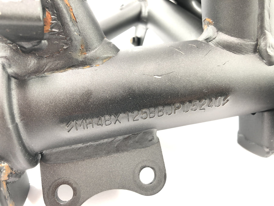 Kawasaki Ninja 125 BX125B [2024] - Rahmenkopf mit Papieren