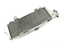 SWM RS 125 R B2 [2020] - Kühler Wasserkühler Kühlsystem Kühlernetz vorne-1