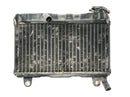 Suzuki RG 250 Gamma GJ21D [1987] - Radiator water cooler cooling system-5