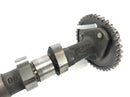 Triumph Thunderbird 900 T309RT [1996] - Camshaft Exhaust Camshaft-5