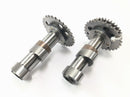 Aprilia RST 1000 Futura [2002] - camshafts set at the back of the entrance camshaft and outskirting wave wave-1