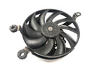 Suzuki GSF 1250 SA Bandit WVCH [2007] - Kühlerlüfter Lüfterrad Kühler Ventilator-1