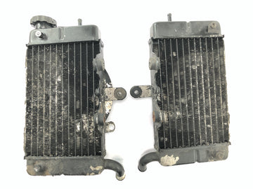 Honda XRV 750 Africa Twin RD04 [1992] - Kühler Wasserkühler Kühlradiator Kühlersatz - 0