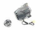 Triumph Daytona 900 T300 [1996] - Lichtmaschine Gleichstromgenerator Generator-5