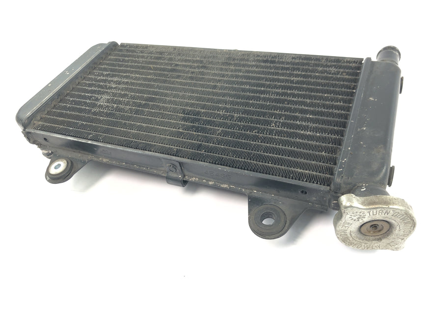 Yamaha MT 03 RM02 [2007] - Radiator water cooler engine cooler cooling system radiator