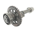 Benelli TNT 1130 [2009] - Drive shaft-1