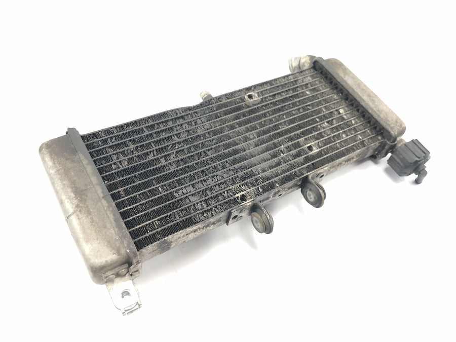 Aprilia RS 125 TW [2017] - Radiator water cooler cooling system radiator network