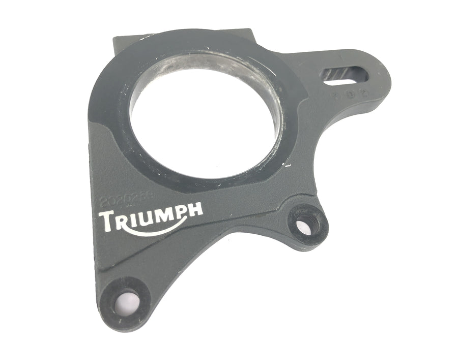 TRIUMPH DAYTONA 955I T595 [1998] - Bremsankerplatte
