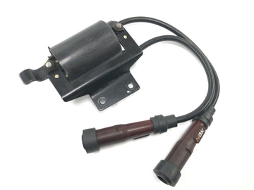 Triumph Bonneville T100 986MF [2012] - Zündspule Zündmodul Zündeinheit mit Kabel und Zündkerzenstecker - 0