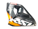Aprilia RSV 1000 RP Mille [2001] - Seitenverkleidung Verkleidung links-1