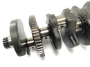 Kawasaki ZX -10 ZXT00B [1990] - crankshaft cranky-5