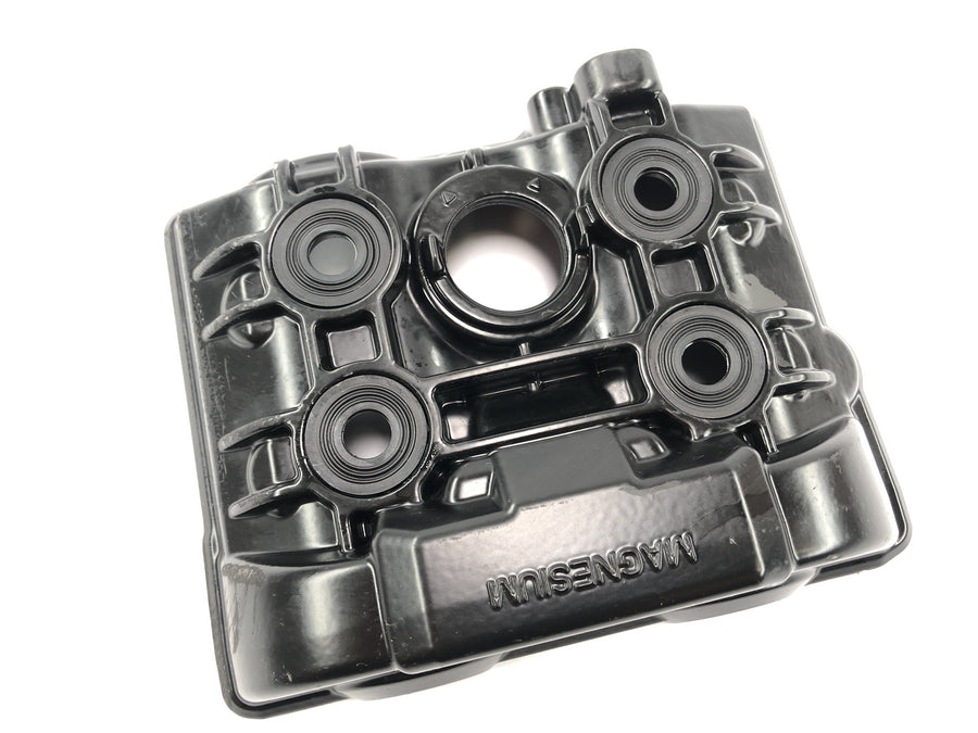 KTM 1050 Adventure [2017] - valve cover at the front