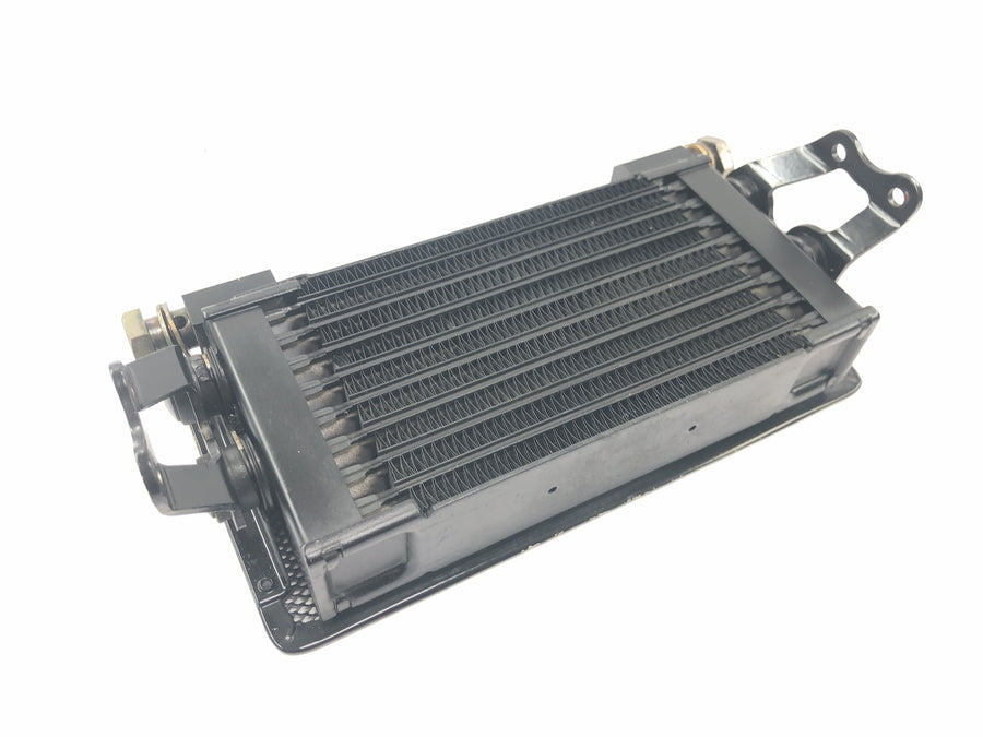 Moto Guzzi V11 Sport [1999] - Ölkühler Kühler Ölradiator mit Schutzgitter