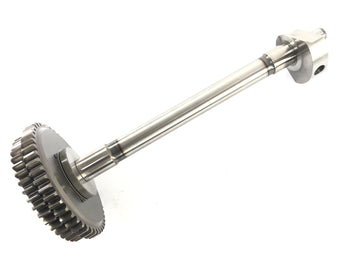 Aprilia RSV4 1000 [2010] - Balance shaft - 0