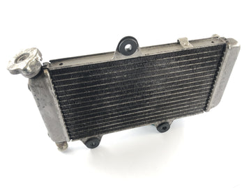 Yamaha XT 660 DM01 [2004] - Kühler Wasserkühler