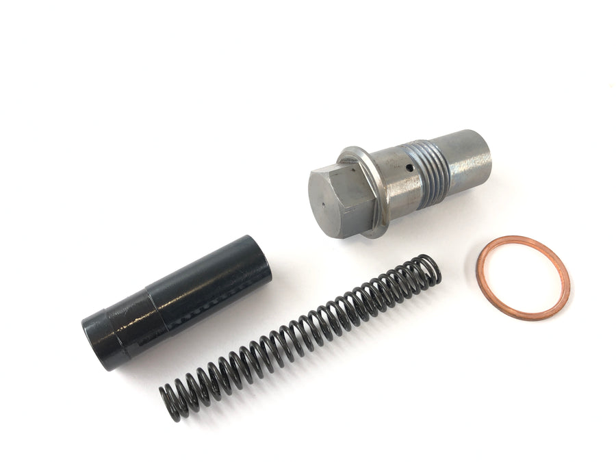 BMW R 1100 GS [1990] - timing chain tensioner