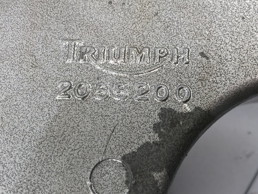 Triumph Speed Triple T509 [1998] - Schwinge Hinterradschwinge