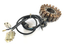Yamaha XT 660 DM01 [2004] - Stator with pickup alternator-4