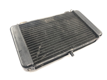 Aprilia RS 125 Extrema [1994] - Kühler Wasserkühler Radiator Kühlsystem