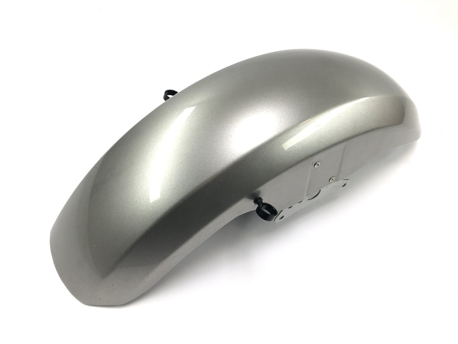 Kawasaki VN 1500 Mean Streak VN50T [2005] - Front fender