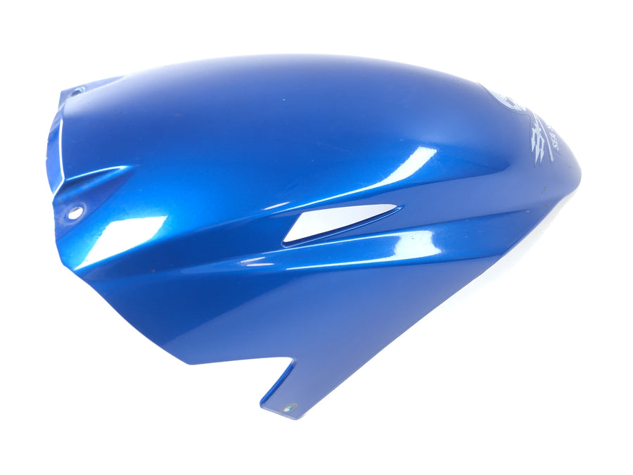 Triumph Sprint ST 1050 [2005] - fender front front fare plate at the front