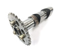 Aprilia RST 1000 Futura [2002] - camshafts set at the back of the entrance camshaft and outskirting wave wave-2