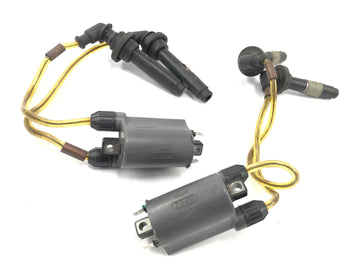 Kawasaki GPZ 1100 ZXT10E [1997] - Zündspule Zündmodul Zündkerzenstecker Satz - 0