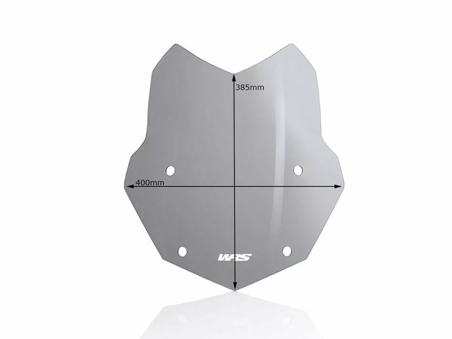BMW R 1200 R [WRS] – Windschild