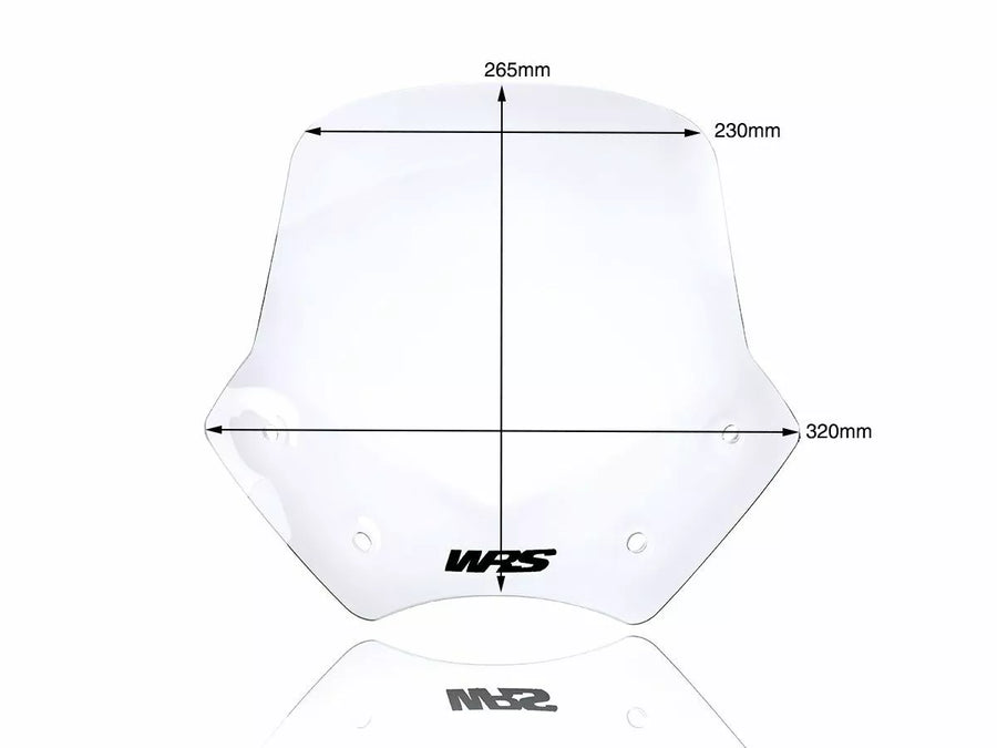 BMW R 1200 R [WRS] – Windschild