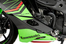KAWASAKI ZX-4RR NINJA [2025] – Motorschutzhauben Track für Championship-1