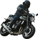 Ducati Desert X 937 [SW-MOTECH] – ION S Erweiterung-Hecktasche
