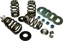 Harley-Davidson XL 1200 Sportster [2020] - Endurance Beehive® valve springs with titanium spring plates - picture 11