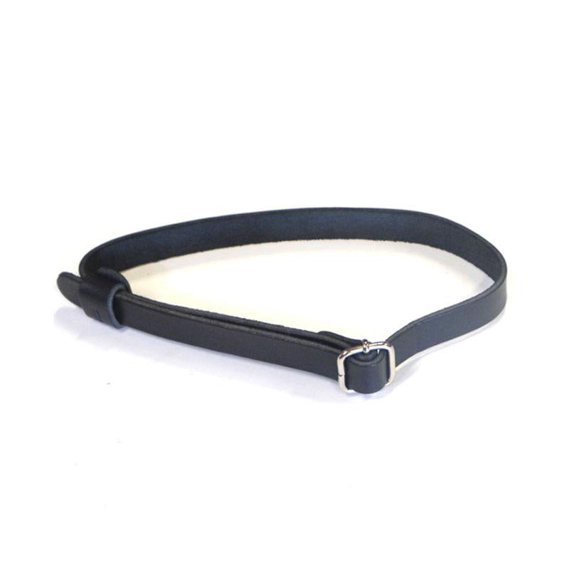 BMW R 12 [2024-2026] - Lederbänder für Gepäckträger