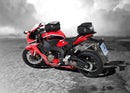 Honda CBR 1000 RR Fireblade SP [2017-2019] - Sportrack schwarz