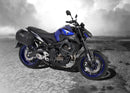 Yamaha MT-09 [2017-2020] - C-Bow Seitenträger-1