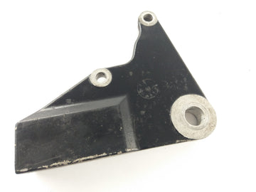 Triumph Bonneville 800 T100 [2004] - Brake anchor anchor plate - 0