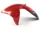 Triumph Speed Triple T509 [1997] - Frontfender Kotflügel vorne-5